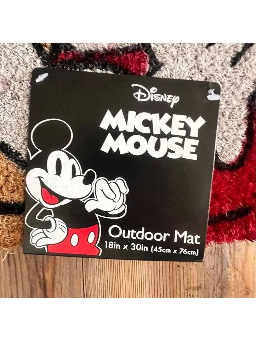 Disney Mickey & Minnie Kiss Heart 18 x 30 Coir Outdoor Mat